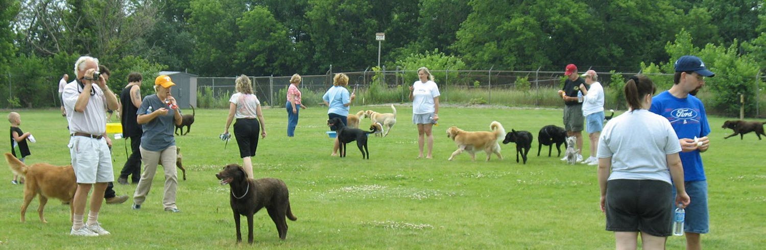 People at a dog park